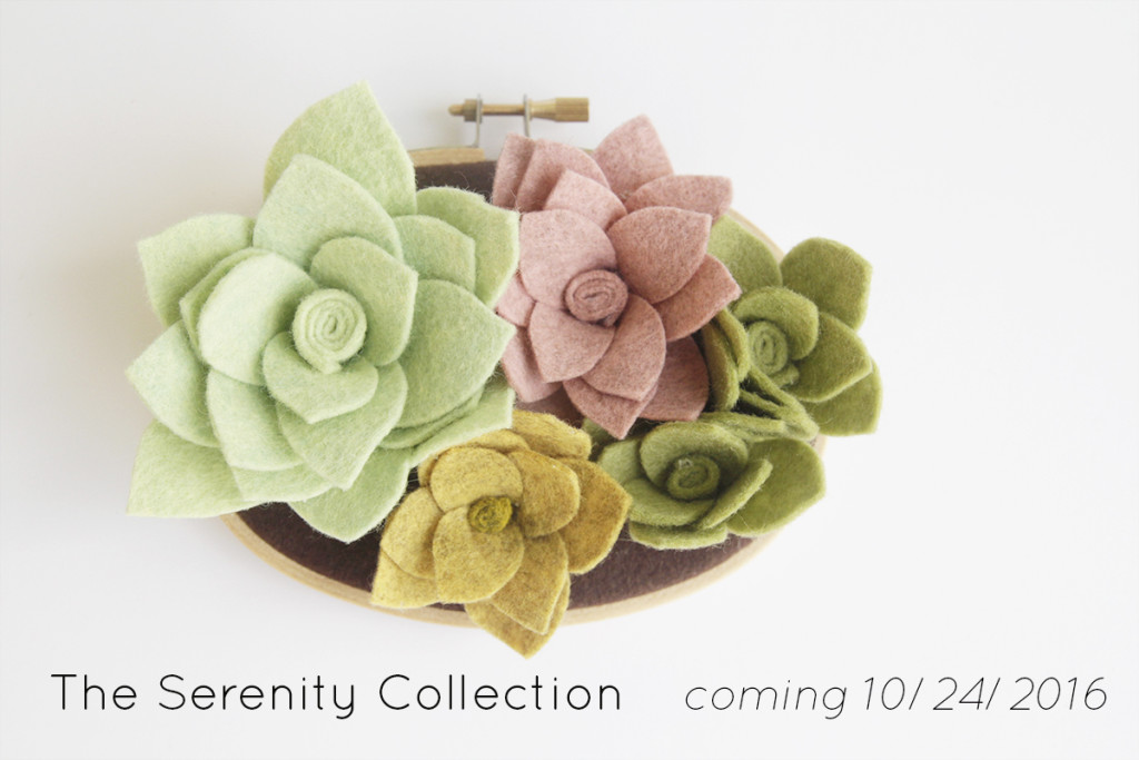 serenity-succulents3x5-announcement-blogfeatured